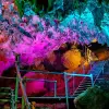 Image of Caving