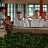 Image of Factory Tours