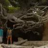 Image of Nature and Wildlife Tours