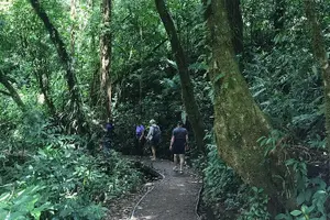 Tour image of Monteverde Cloud Forest Reserve Morning Walk -Monteverde Wild-