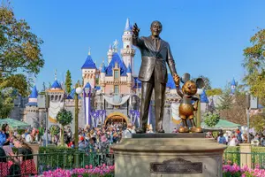 Tour image of Anaheim Resort Private Transfer to or from Los Angeles.