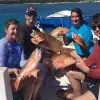 Image of Fishing Charters