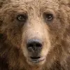 Image of Nature and Wildlife Tours