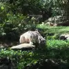 Image of Bird Watching