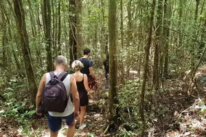 Tour image of Land Tour 2: Discover the North - Kayaking & Starfish beach Phu Quoc (Not Lunch)