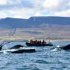 Image of Jet Boat Rentals