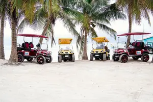Tour image of Golf Cart Rental by Group 3-4seater