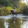 Image of Horseback Riding