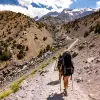 Image of Pack Animal Tours