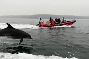 Tour image of Cork Harbour RIB Tour