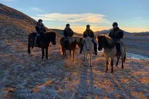 Tour image of The Viking Horse Riding Experience in North Iceland