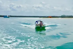 Tour image of Backwater Adventure's CraigCat Tours of the 10,000 Islands