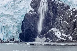Tour image of Glacier Quest Cruise Self Drive