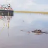 Image of Nature and Wildlife Tours