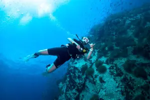 Tour image of Basic Diver