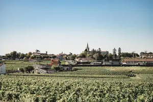 Tour image of Saint-Emilion Electric Bike Day Tour with Wine Tastings & Lunch