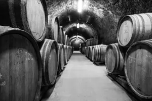Tour image of Eger Private Full-Day Wine Tasting Tour and Sightseeing from Budapest