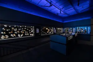 Tour image of Houston Museum of Natural Science General Admission