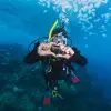 Image of Freediving