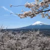 Image of Sake Brewery Tour