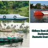 Image of Sightseeing Cruises