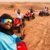 Image of Nature and Wildlife Tours
