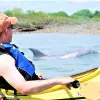 Image of Kayaking Tours