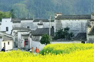 Tour image of 2-Day Tour Private Huangshan Yellow Mountain Tour from Shanghai
