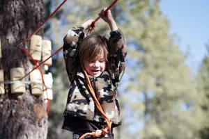 Tour image of Flagstaff Extreme Adventure Course-Adult Course
