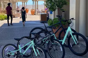 Tour image of Monterey 17-Mile Drive Electric Bike Guided Tour
