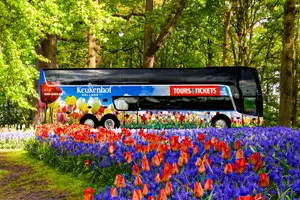 Tour image of Keukenhof Entry Tickets with Luxury Bus Transfers from Amsterdam
