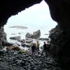 Image of Nature Walks