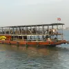 Image of Night Cruises