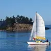 Image of Sailing