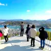 Image of Nature Walks