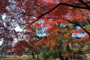 Tour image of Hiroshima Cruise Pickup: Miyajima & Peace Park Tour with Car