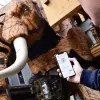 Image of Scavenger Hunts