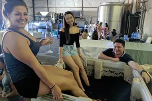 Tour image of 7 Hour Private Santa Barbara Wine Tour