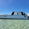 Image of Catamaran Cruises