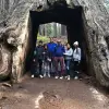 Image of Wildlife Watching