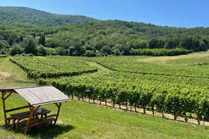 Tour image of Day Boat trip and City Tour in Tokaj Hungary with Wine Tasting