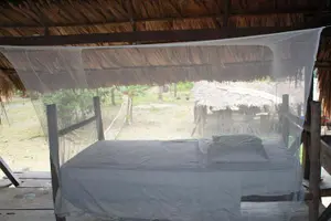 Tour image of Guided Darien Jungle Experience - 5 Days / 4 Nights