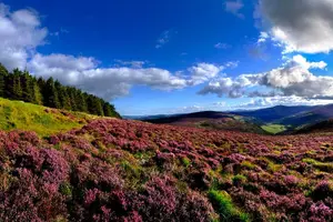 Tour image of Dublin to Glendalough, Wicklow and Kilkenny Full Day Guided Tour