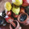 Image of Food & Drink Classes