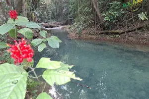 Tour image of Maroon and Waterfall Adventure from Treasure Beach Jamaica