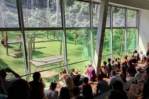 Tour image of Bornean Sun Bear Conservation Centre & Sepilok Orang Utan Rehab Centre Tour