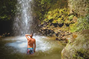 Tour image of Private Best of St Lucia Mud Bath & Toraille Waterfall Excursion