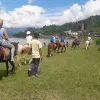 Image of Pack Animal Tours