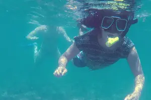 Tour image of Half-Day Dolphin Watching and Snorkeling in Samara