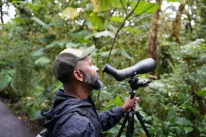 Tour image of Monteverde Birdwatching Experience